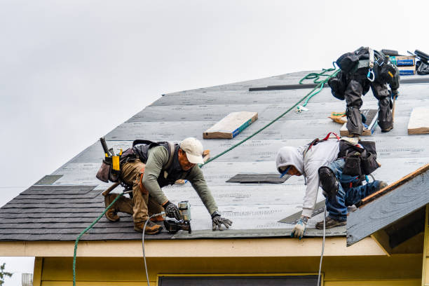 Professional Gutter Installation technician working in Pleasant Shade, TN